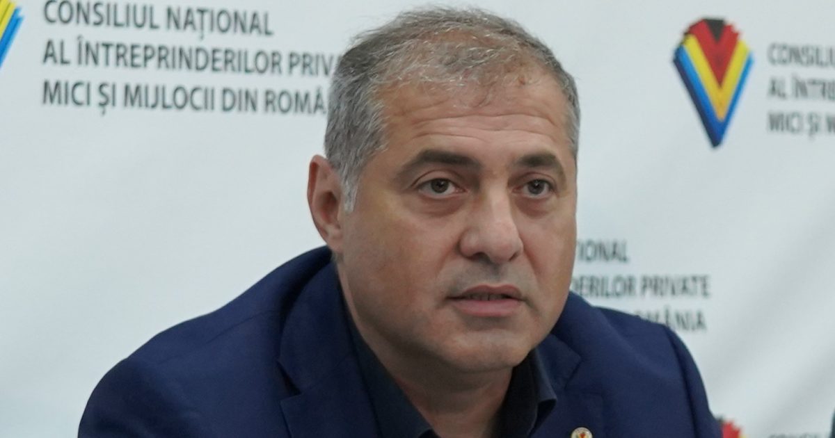 Jianu (IMM România): Mediul de afaceri, sfidare la adresa politicii de la televizor