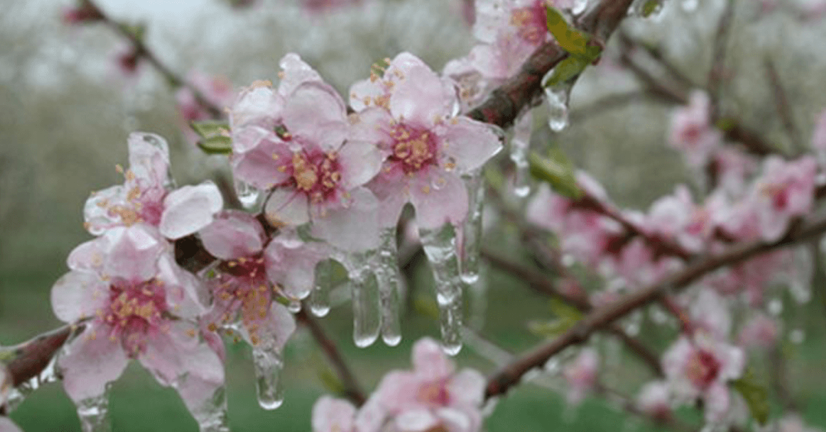 Temperaturi de iarnă în zeci de localități în această dimineață în județul Bistrița-Năsăud