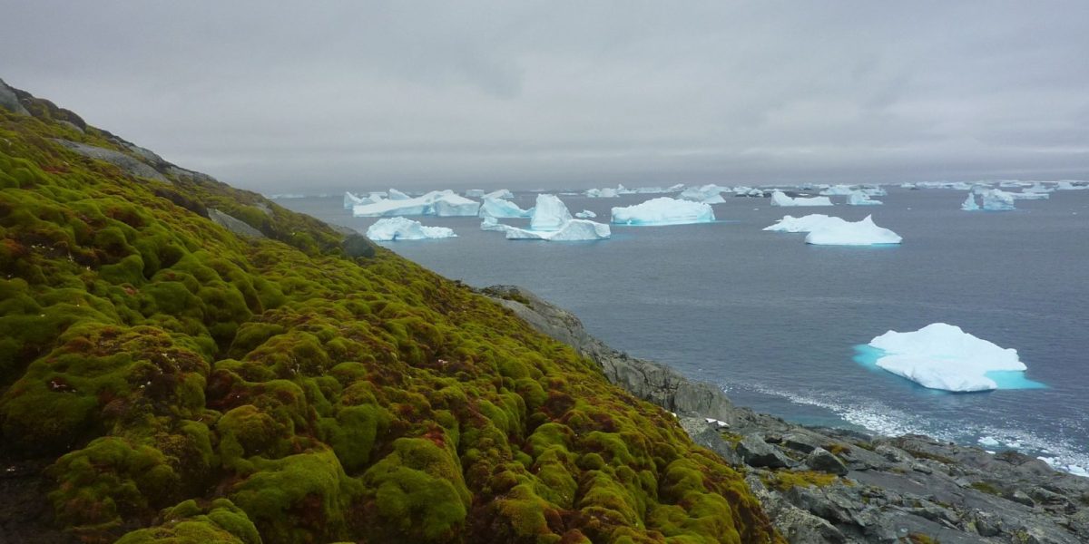 Green-Island.-Credit-Matt-Amesbury-x-1536x826-2.jpg - NewsFactor