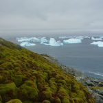 Green-Island.-Credit-Matt-Amesbury-x-1536x826-2.jpg - NewsFactor