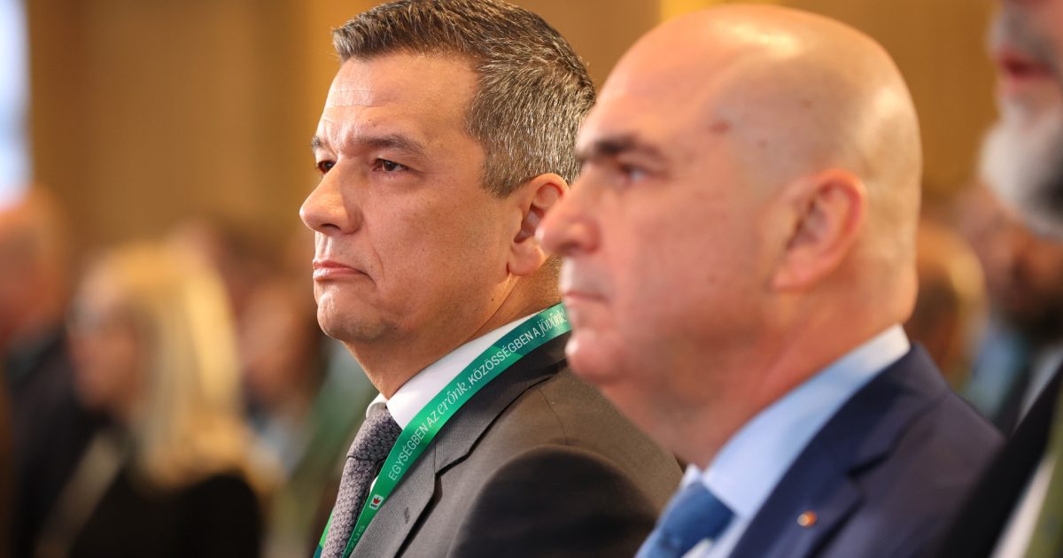 PSD iese, Guvernul NU cade imediat: 45 de zile de interimat