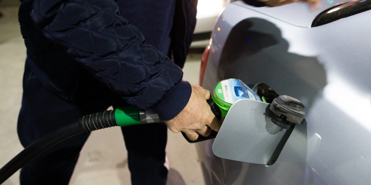 ID191237_INQUAM_Photos_Cornel_Putan.jpg - NewsFactor