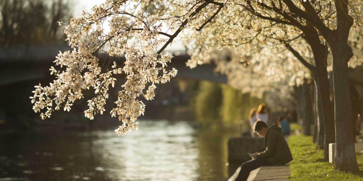 ID193225_INQUAM_Photos_Cornel_Putan.jpg - NewsFactor