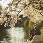 ID193225_INQUAM_Photos_Cornel_Putan.jpg - NewsFactor