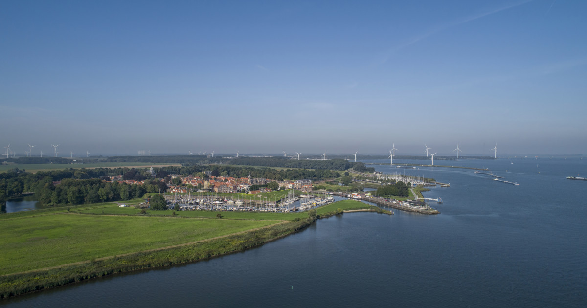 Olanda, groaza unei localități: „Suntem duși la abator” – ce se întâmplă