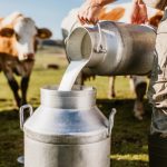 Jmhhc2g9MmI3M2JhOWRjMzQzMjQ0MDBlNzBmMWFhMmEyM2ZjM2M.thumb_.jpg - NewsFactor