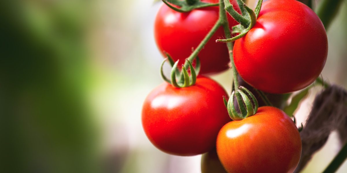 Jmhhc2g9N2FlZGNmZmE0MGQzMmMyNWY4NWQ0NDljMjEyZmViMmE.thumb_.jpg - NewsFactor