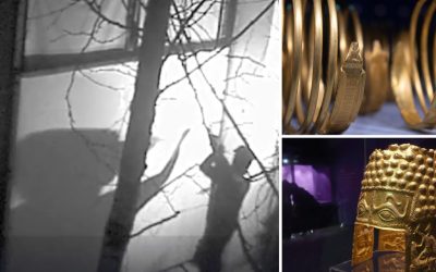 Noul jaf din Olanda: Ce au vrut să fure hoții, dincolo de obiectele furate