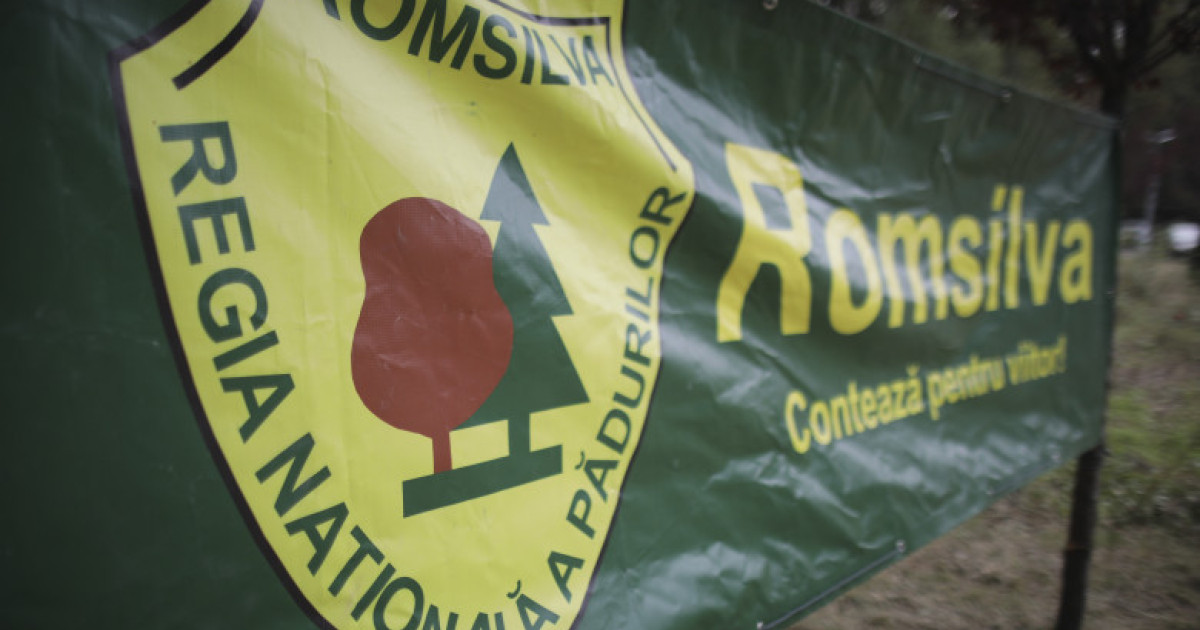 Silva protestează la Guvern: „Reformele” actuale, faliment pentru păduri!