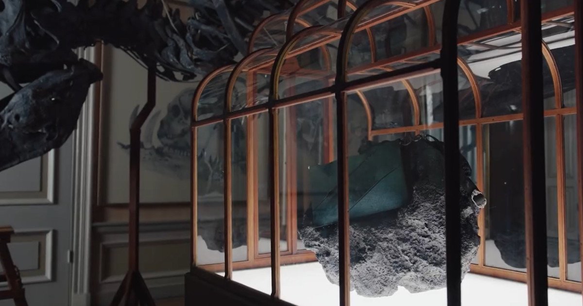 O geantă de mână realizată din colagen derivat din fosile de Tyrannosaurus Rex va fi scoasă la licitație pentru o sumă impresionantă, estimată la peste jumătate de milion de dolari