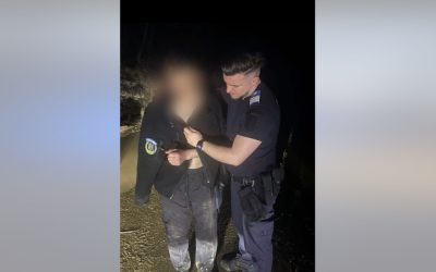 Tânăr, SALVAT de jandarmi după ce a abandonat motocicleta în fața ursului