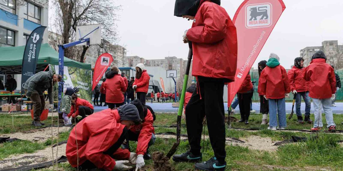Mega-Image-Plantare-2026-Bucuresti-si-Ilfov_RESIZE.jpg - NewsFactor