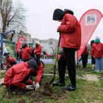 Mega-Image-Plantare-2026-Bucuresti-si-Ilfov_RESIZE.jpg - NewsFactor