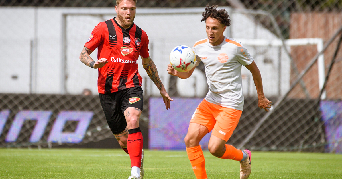 LIVE Metaloglobus - Csikszereda, în play-out-ul Superligii » Echipele