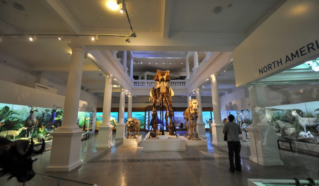 Antipa și Țăranului, deschise de Paște la București. Programul muzeelor