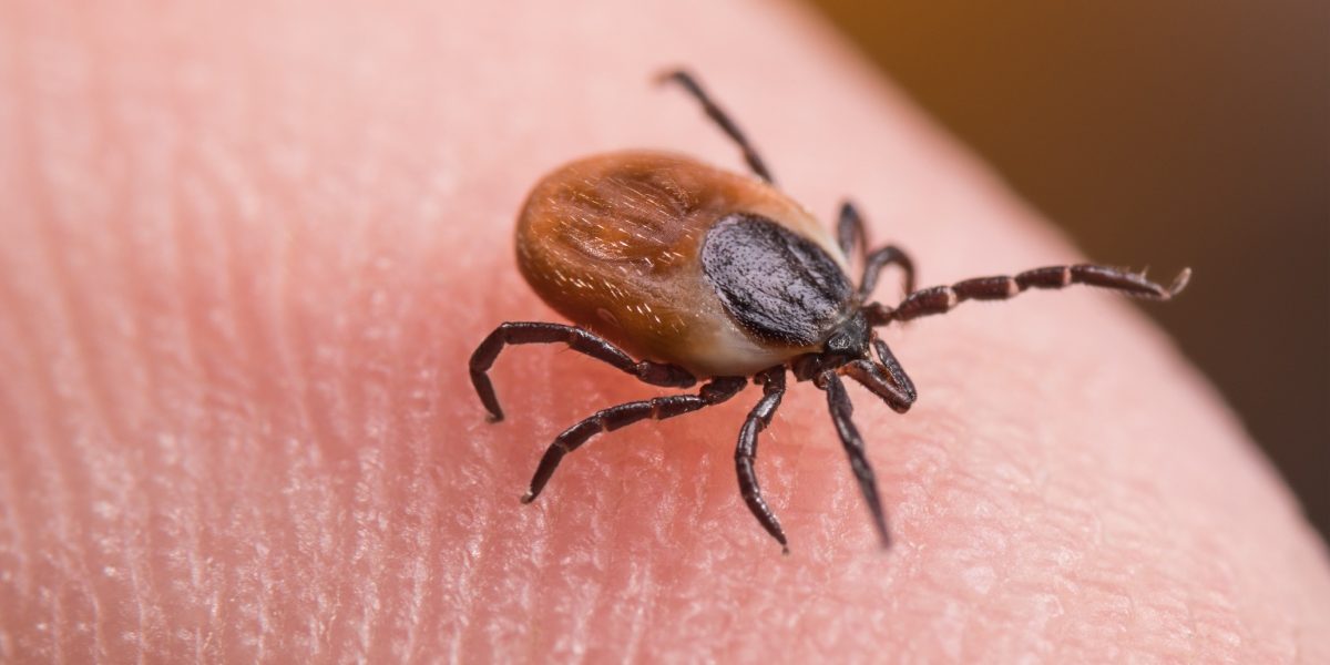 Noua-arma-impotriva-capuselor-Ce-au-descoperit-oamenii-de-stiinta-francezi.jpg - NewsFactor