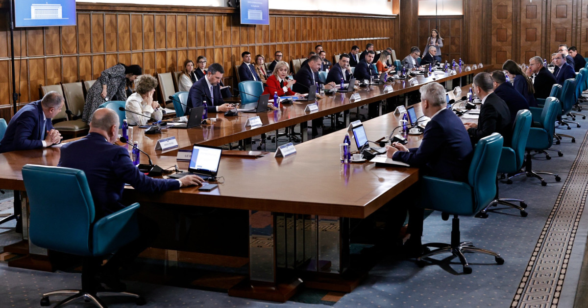 Bolojan, la guvern: Purtătoarea de cuvânt, despre ședință: „Absolut cordială”