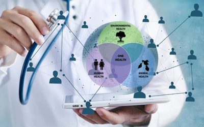 Colaborare CieH – Ziarul Lumina: Educația medicală, prioritate strategică