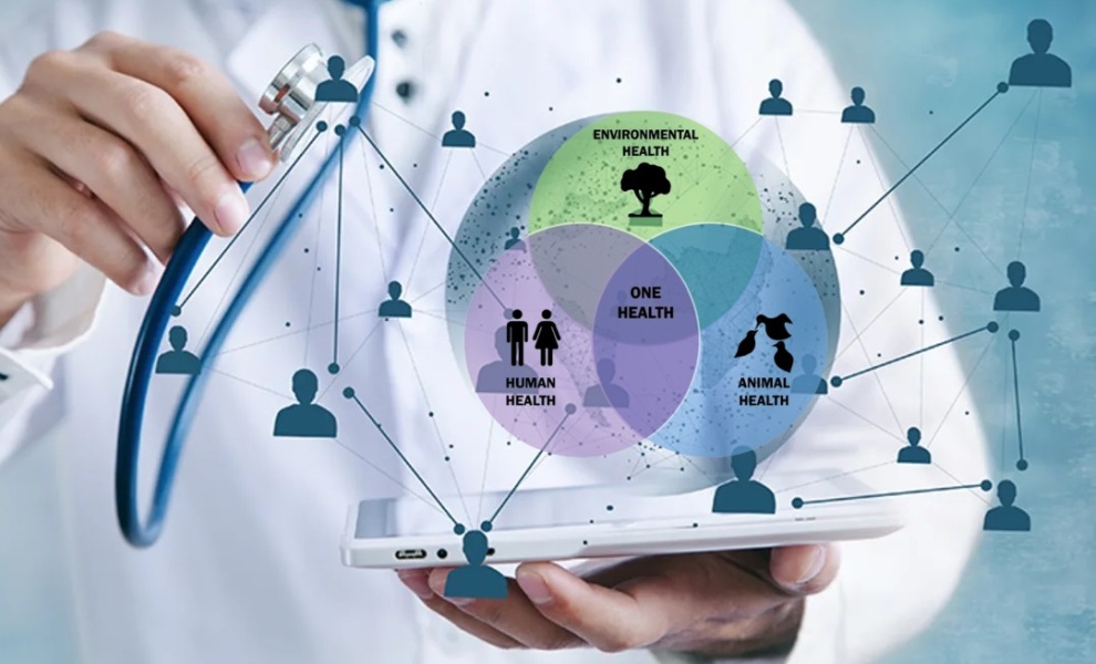 Colaborare CieH – Ziarul Lumina: Educația medicală, prioritate strategică