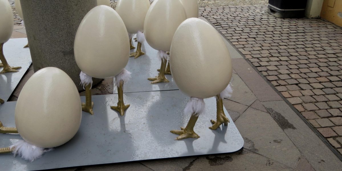 Oua-gigantice-cu-picioare-Timisoara.jpg - NewsFactor