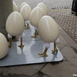 Oua-gigantice-cu-picioare-Timisoara.jpg - NewsFactor