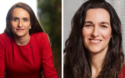 Oana Țoiu, dialog cu noul ministru de Externe de la Budapesta despre Ungaria