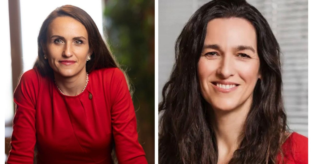 Oana Țoiu, dialog cu noul ministru de Externe de la Budapesta despre Ungaria