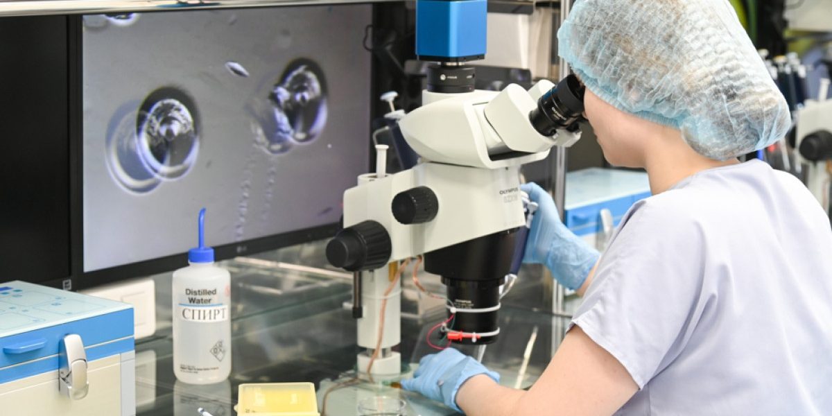 PTYzMCZ6Yz0xJmhhc2g9NTk5ZGQ1YTYwOTFhYmJlZWE2OWQzYjBiNTgzOGFjMWU.thumb_.jpg - NewsFactor