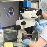 PTYzMCZ6Yz0xJmhhc2g9NTk5ZGQ1YTYwOTFhYmJlZWE2OWQzYjBiNTgzOGFjMWU.thumb_.jpg - NewsFactor