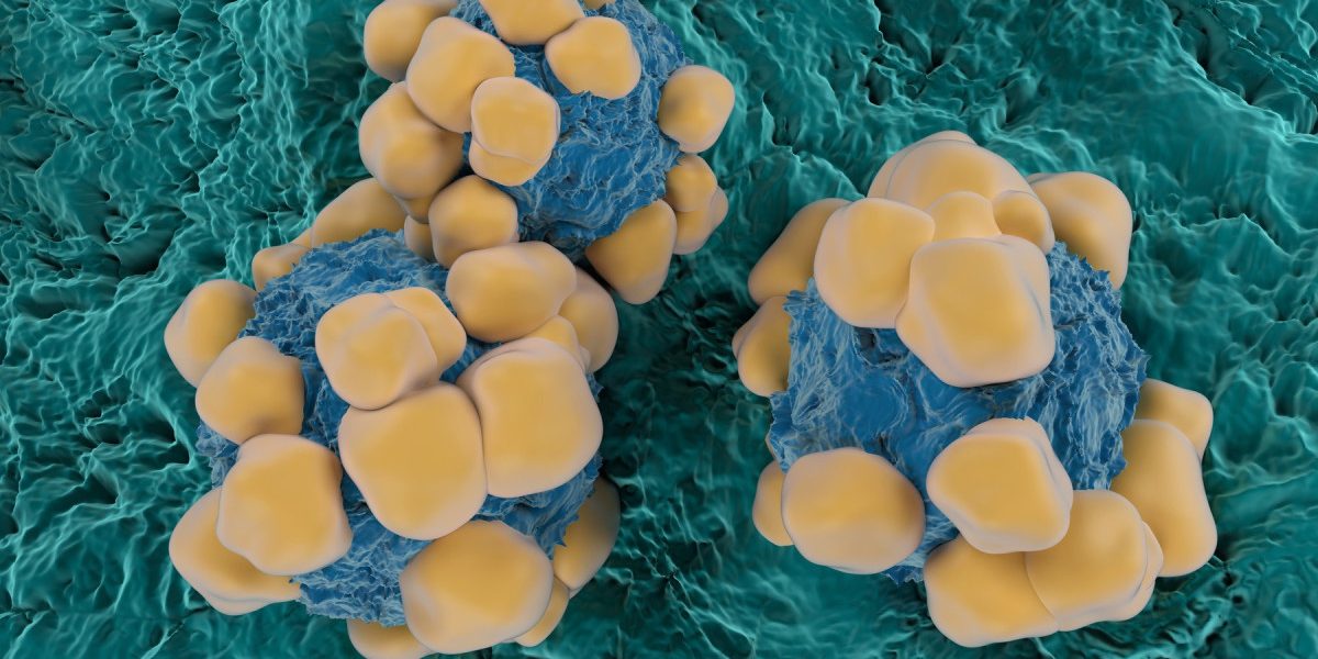 PWIyMjQ0ZjUxNzkwNTBjMTJhMGE2NzZlNGFiZDBjYjBj.thumb_.jpg - NewsFactor