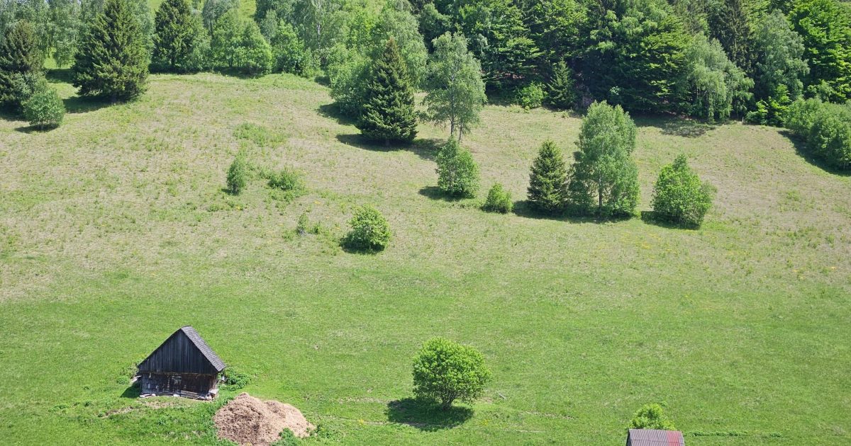 Vremea în România: Ce ne așteaptă în următoarele două săptămâni, regiune cu regiune