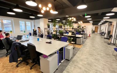 Declinul Pentalog România: Scădere fără precedent a afacerilor și a angajaților