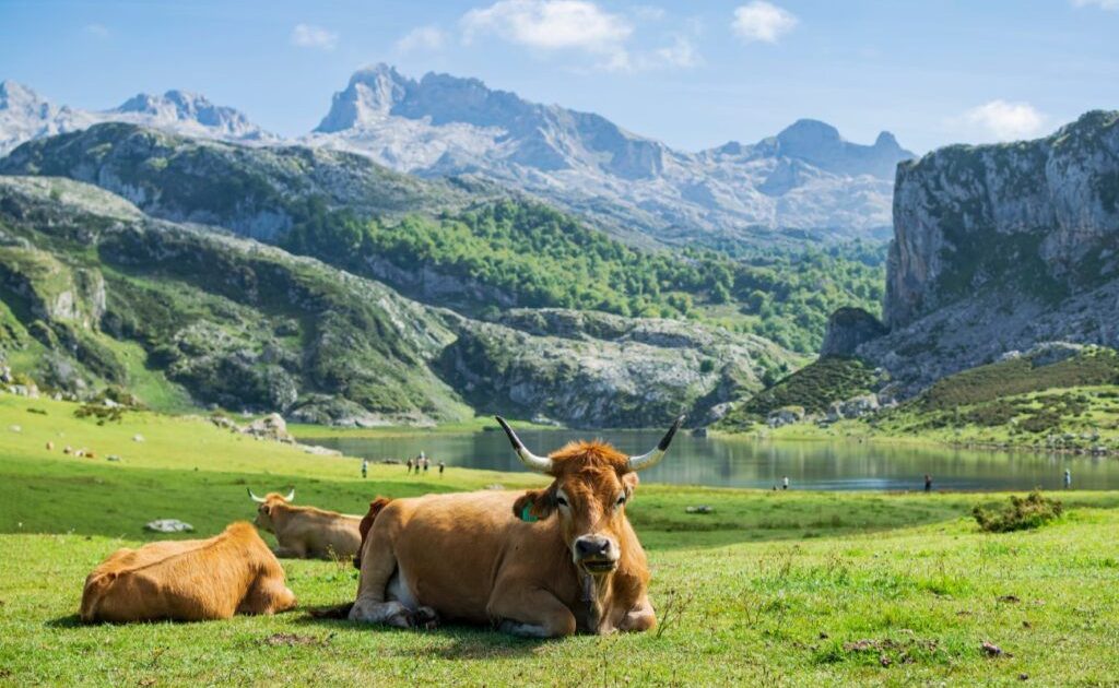 Locul din Europa, uitat de lume, desemnat cel mai frumos: Pare din povești!