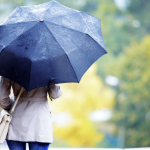 Screenshot-2025-05-19-at-14.43.45-1024x560.png - NewsFactor