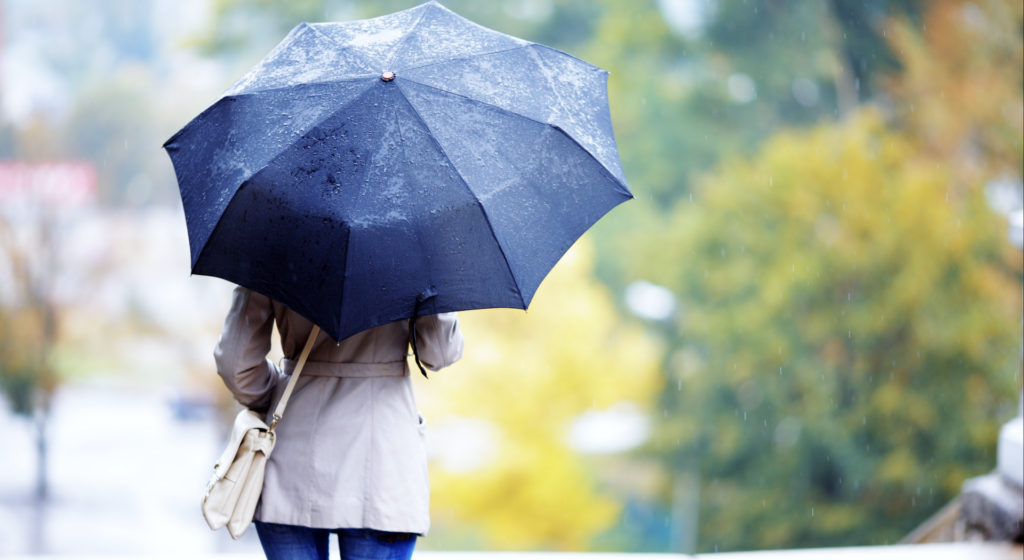 Screenshot-2025-05-19-at-14.43.45-1024x560.png - NewsFactor