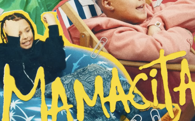 Frații Velea, critica dură pentru versuri