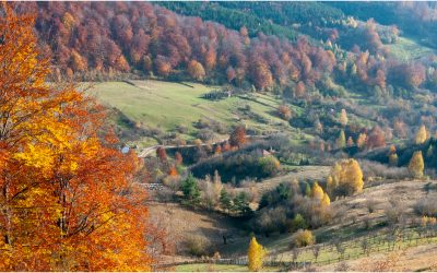 Guvernul simplifică accesul la Geoparcurile UNESCO din România