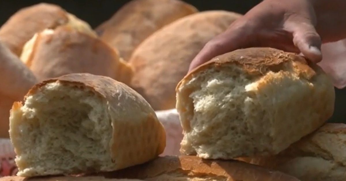 Banatul, Regiune Gastronomică Europeană în 2028: Ce surprize ne așteaptă?