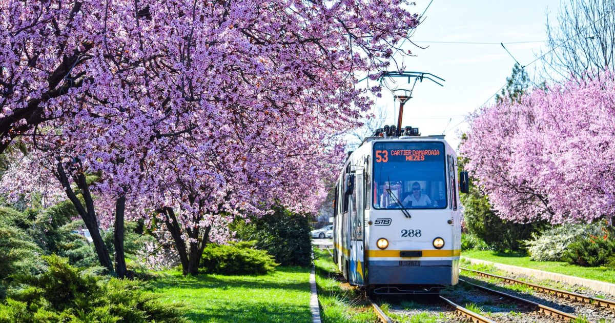 STB: Câte linii de noapte circulă de Înviere prin București