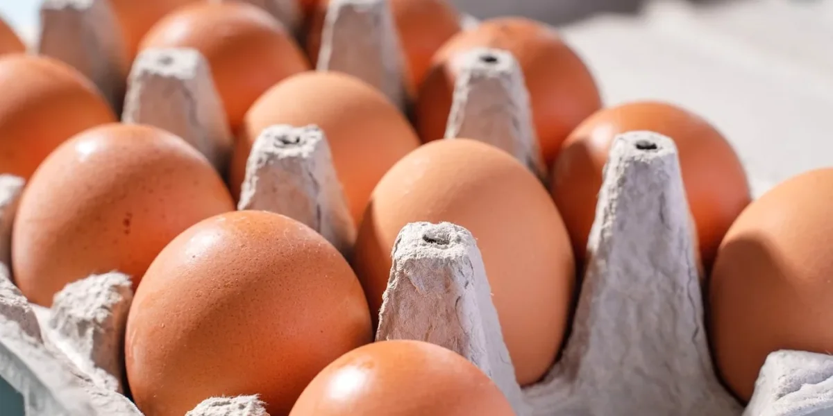 Unde-gasesti-cele-mai-ieftine-oua-inainte-de-Paste-2026.webp.webp - NewsFactor