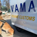 Vama-vames-autoritatea-vamala-romana-caine-e1759302289804.jpg - NewsFactor