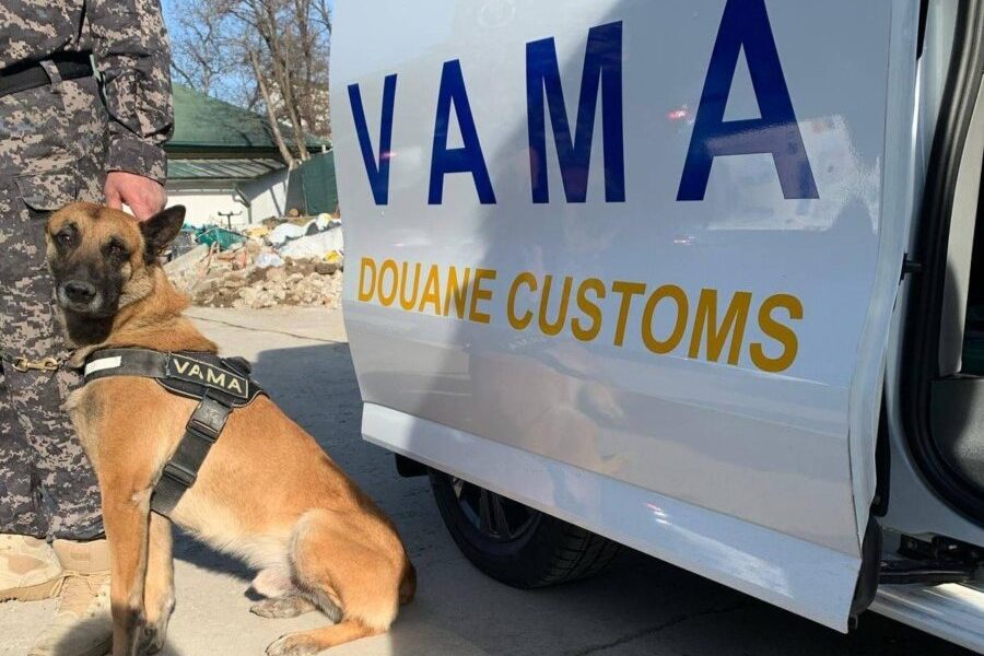 Vama-vames-autoritatea-vamala-romana-caine-e1759302289804.jpg - NewsFactor