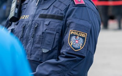 Viena: Bandă de escroci români, reținută de Poliție – țepari la drumul mare