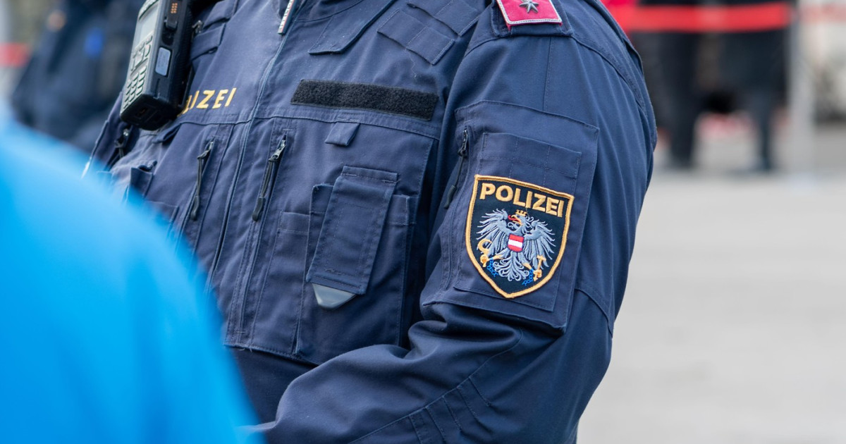 Poliția din Viena a reținut o bandă de escroci formată aproape în totalitate din români