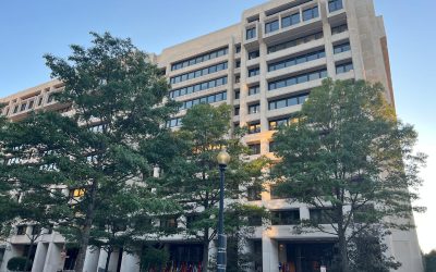 FMI, semnal de ALARMĂ: Recesiune la orizont și previziuni economice sumbre