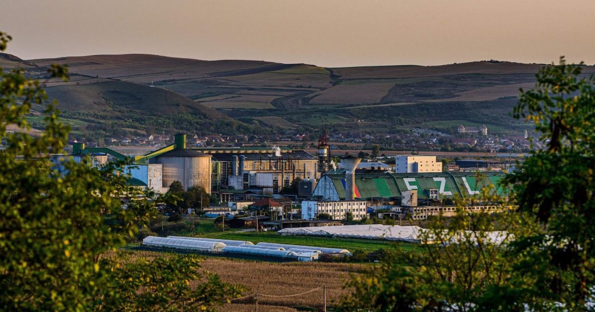 Afacerile ZAHĂR Luduș, singura fabrică românească, în 2023: Ce profit a avut?