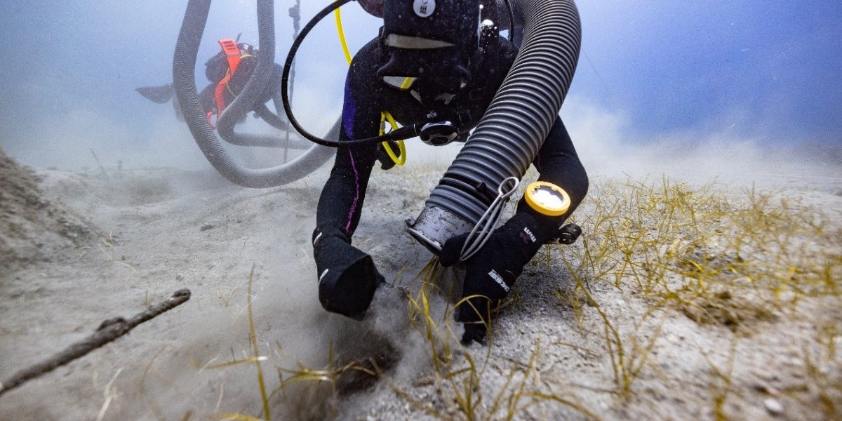 YXNoPTY1YTAwNTMwYzgzNGNmOGQwM2M5OTZjZjQ3NWZkNmJl.thumb_.jpg - NewsFactor