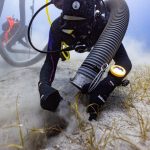 YXNoPTY1YTAwNTMwYzgzNGNmOGQwM2M5OTZjZjQ3NWZkNmJl.thumb_.jpg - NewsFactor