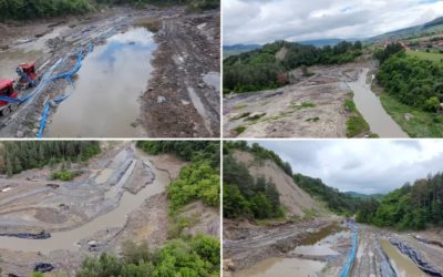 Angajații SALROM dau vina pe castori la Praid. Ministrul: E neasumare!