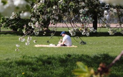 Meteorologii anunță: Cum va fi vremea de 1 Mai și în următoarele patru săptămâni?